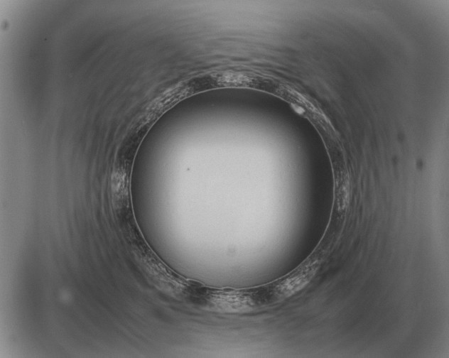 X0000085270521200703231744