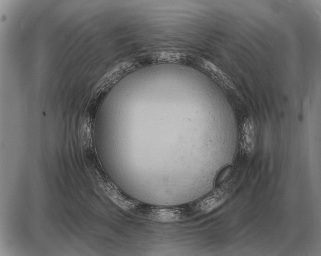 X0000085270522200703231744