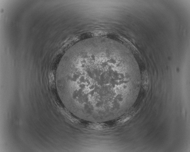 X0000085270523200703231744