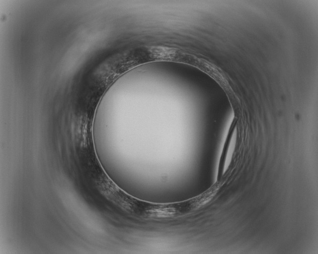 X0000085270525200703231744