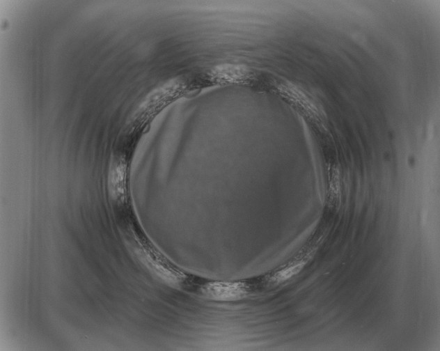 X0000085270526200703231744