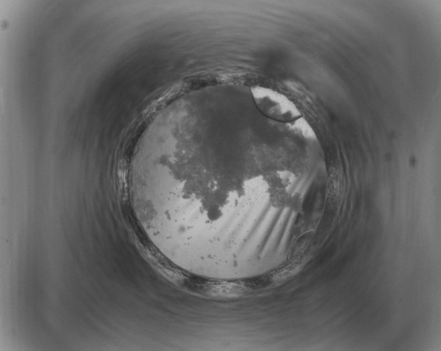 X0000085270527200703231744