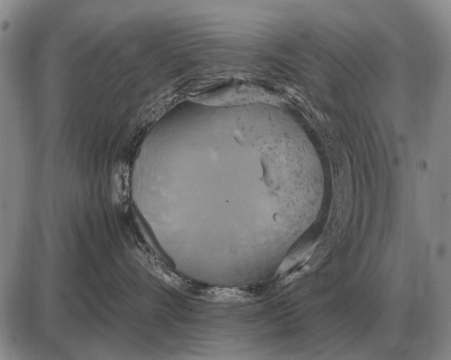 X0000085270528200703231744