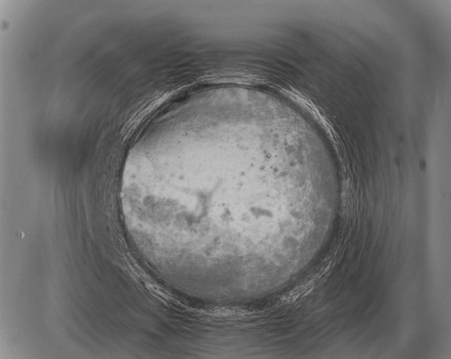 X0000085270529200703231743