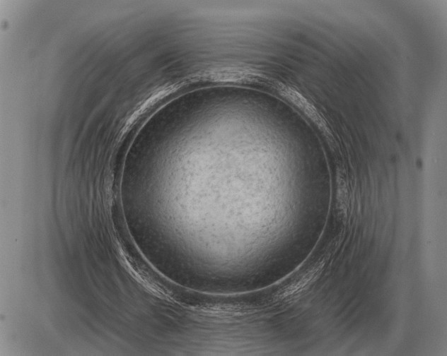 X0000085270530200703231743