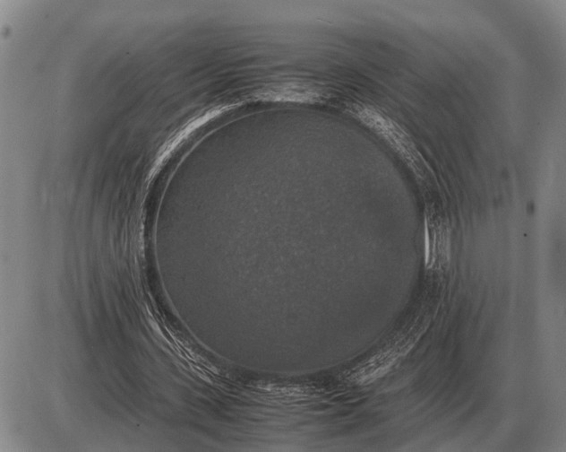 X0000085270531200703231743