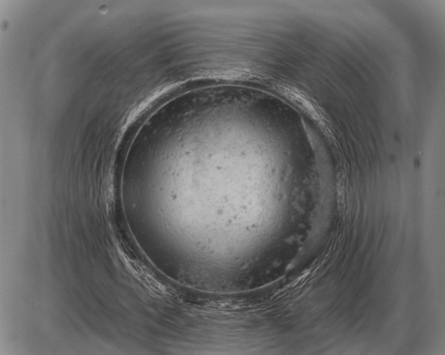 X0000085270532200703231743