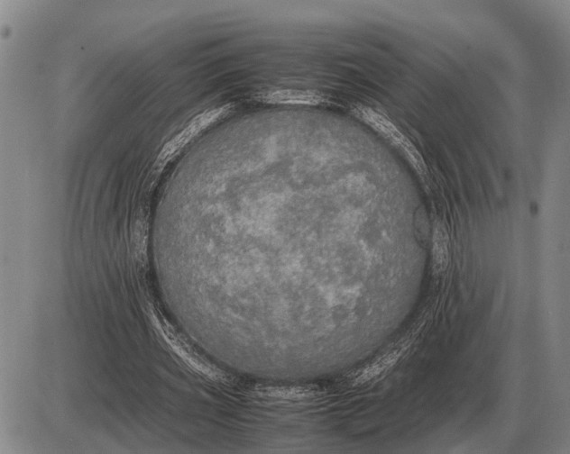 X0000085270533200703231743