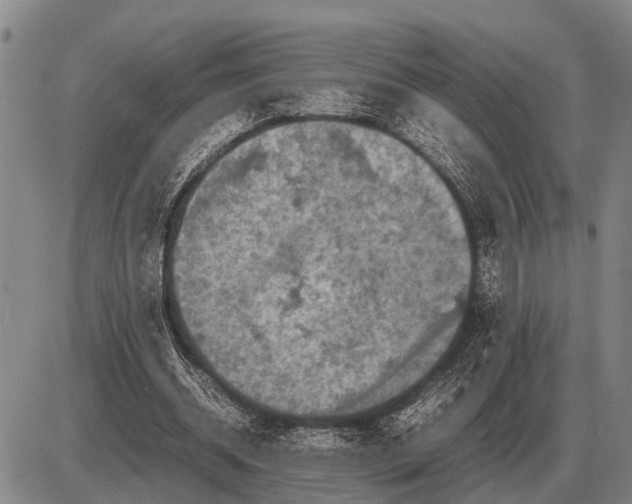 X0000085270534200703231743