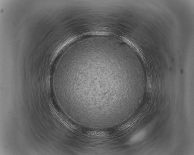 X0000085270535200703231743