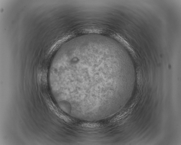 X0000085270537200703231743