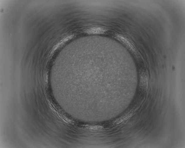 X0000085270539200703231743