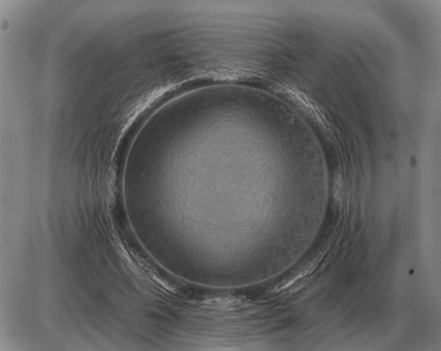 X0000085270540200703231743