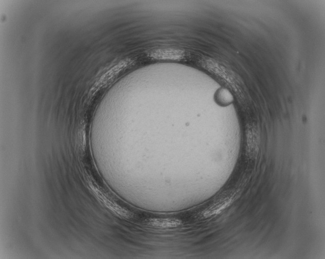 X0000085270541200703231743