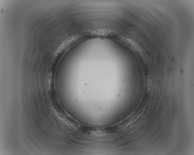 X0000085270544200703231743