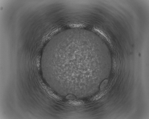 X0000085270545200703231743