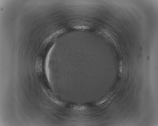 X0000085270547200703231743