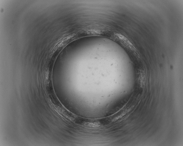 X0000085270548200703231743