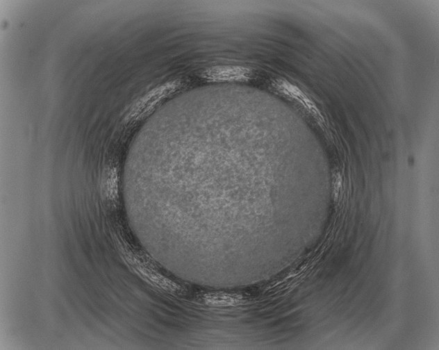 X0000085270549200703231743