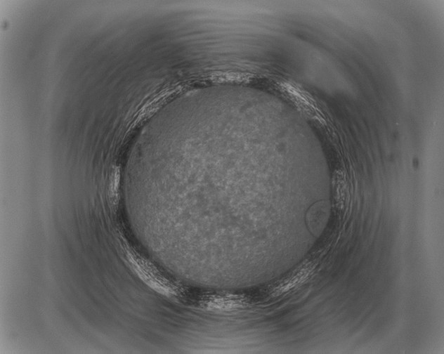 X0000085270550200703231743