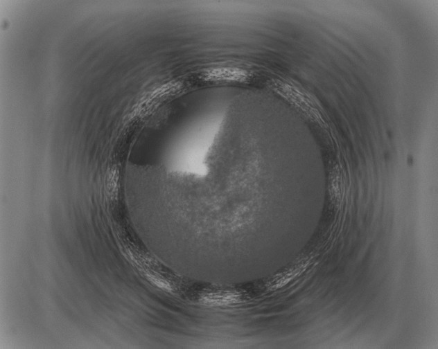 X0000085270551200703231743