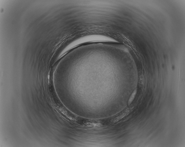 X0000085270552200703231743