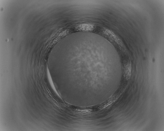 X0000085270553200703231744