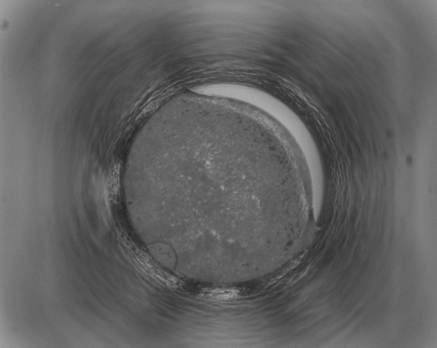 X0000085270554200703231744