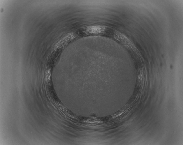 X0000085270555200703231744