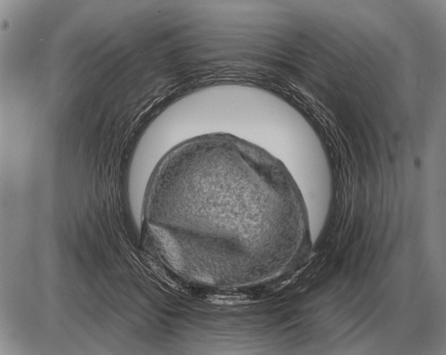 X0000085270556200703231744