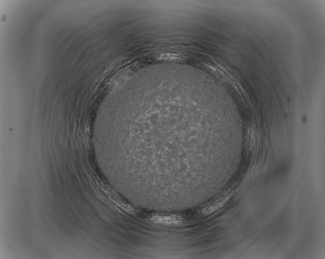 X0000085270557200703231744