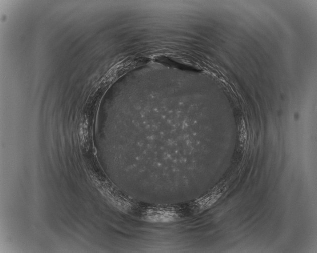 X0000085270559200703231744