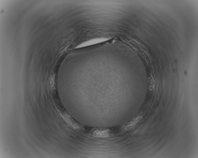 X0000085270560200703231744