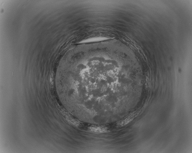 X0000085270561200703231744