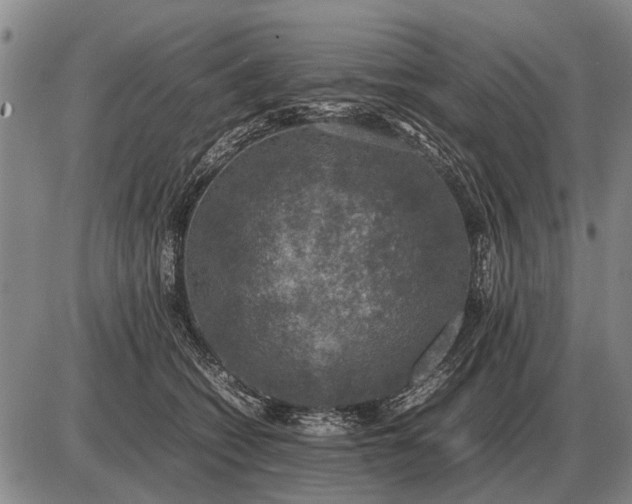 X0000085270562200703231744