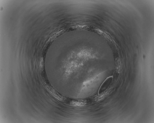 X0000085270563200703231744