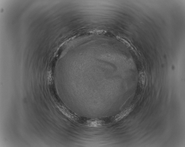 X0000085270564200703231744