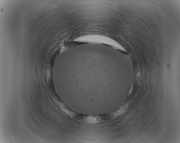 X0000085270566200703231744