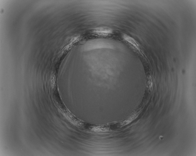 X0000085270568200703231744