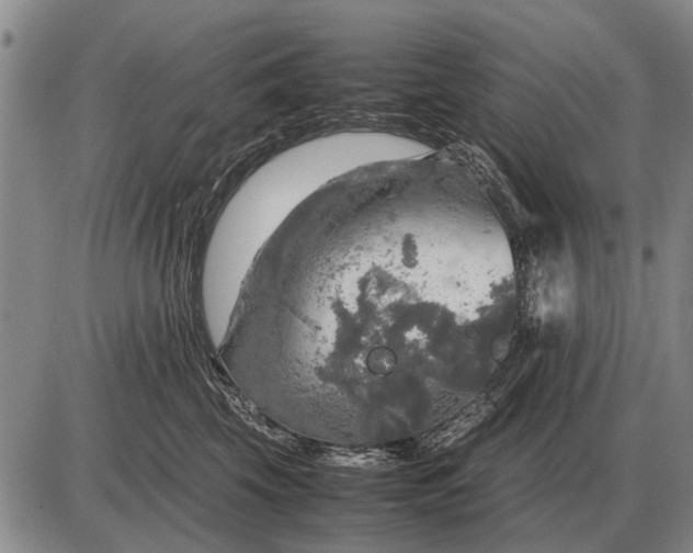 X0000085270569200703231744