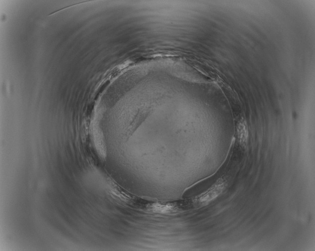 X0000085270570200703231744