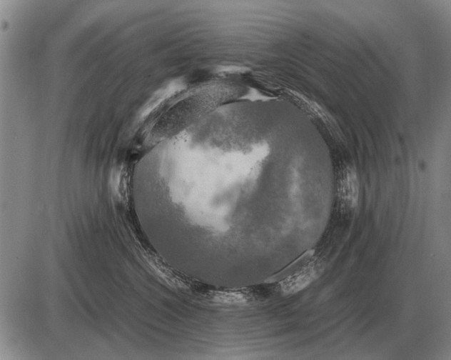 X0000085270572200703231744