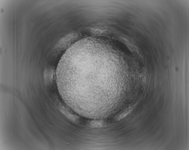 X0000085270574200703231744