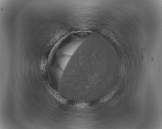 X0000085270576200703231744