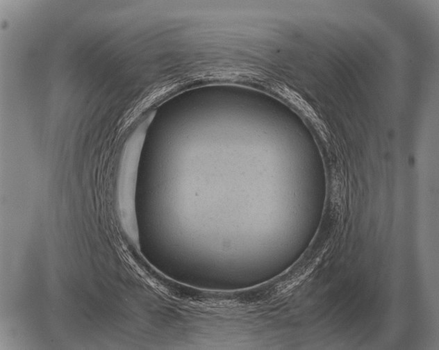 X0000085270577200703231743