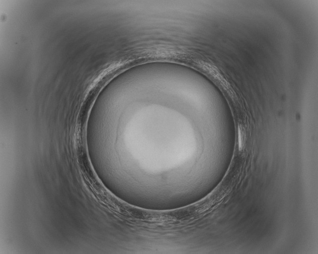 X0000085270579200703231743