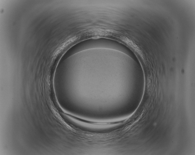 X0000085270581200703231743