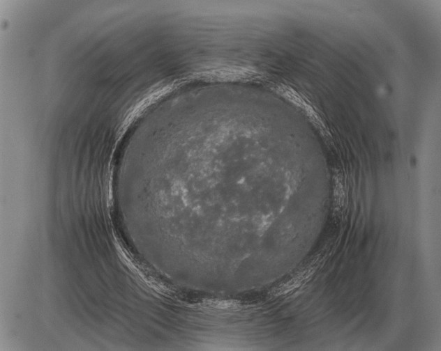 X0000085270582200703231743