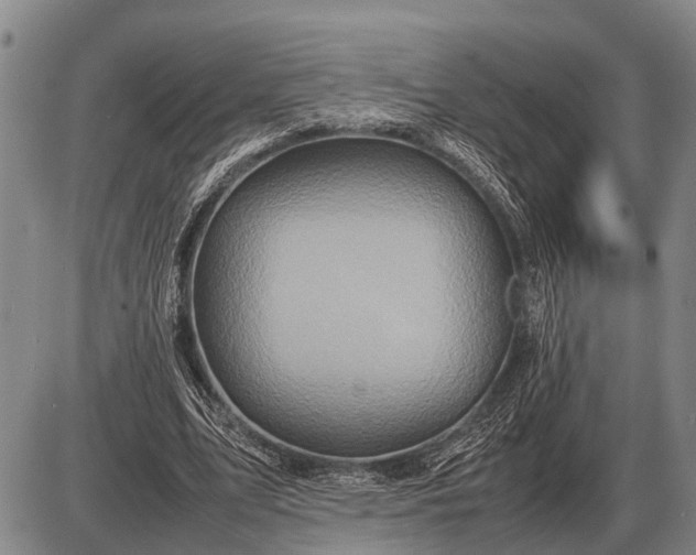 X0000085270583200703231743