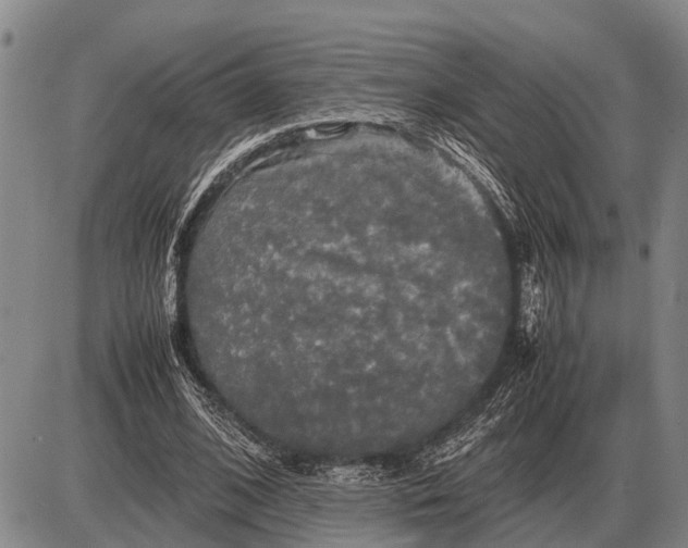 X0000085270584200703231743